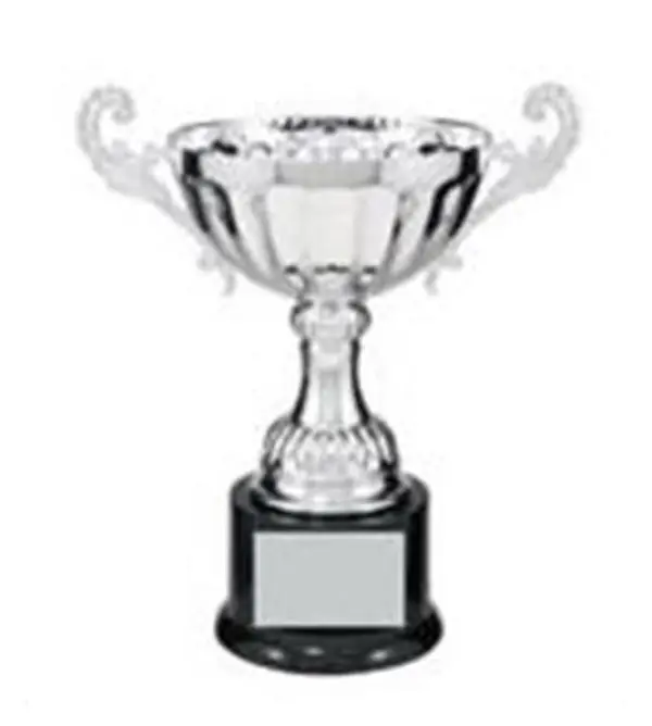 Silver Metal Cup with Handles