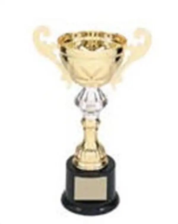 Gold Loving Cup with Handles