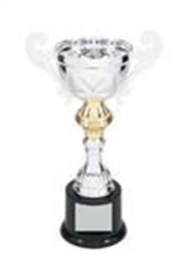 Silver Metal Loving Cup with Handles