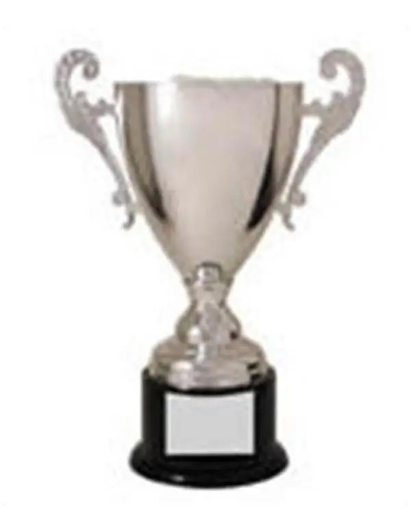 Silver Metal Loving Cup