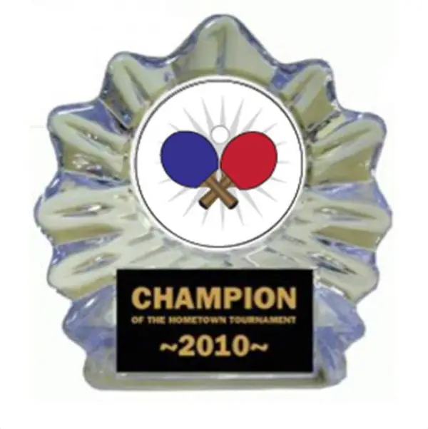 Ping Pong Ice Flame Award