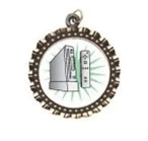 Wii Neck Medal
