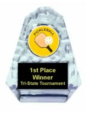 Pickleball Sculpted Ice Award