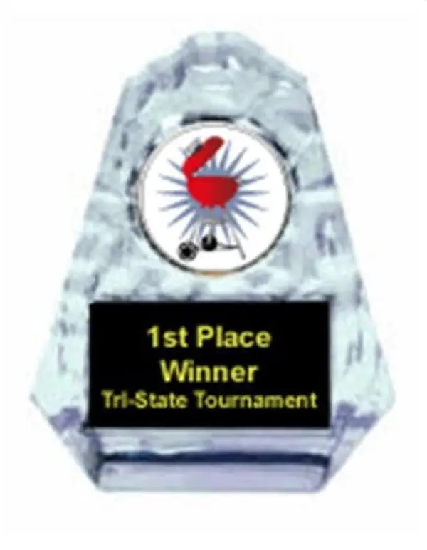 Barbecue Cook Off Sculpted Ice Award