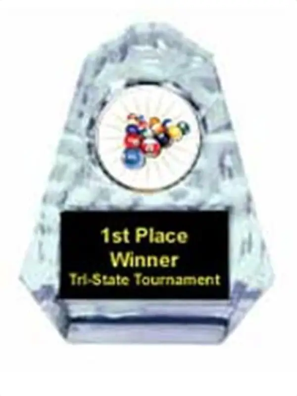 Billiards 2 Sculpted Ice Award