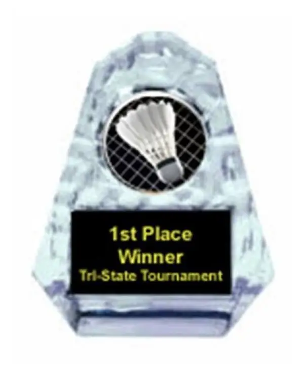 Badminton Sculpted Ice Award