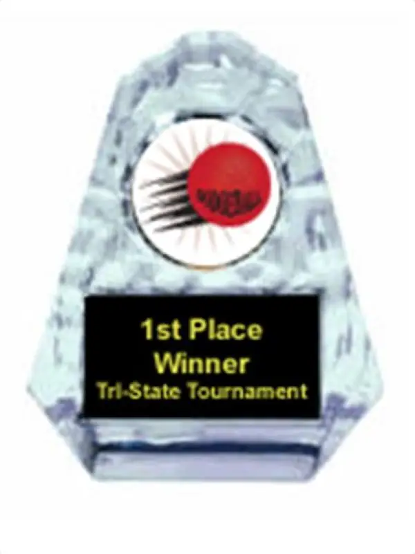 Dodgeball Sculpted Ice Award