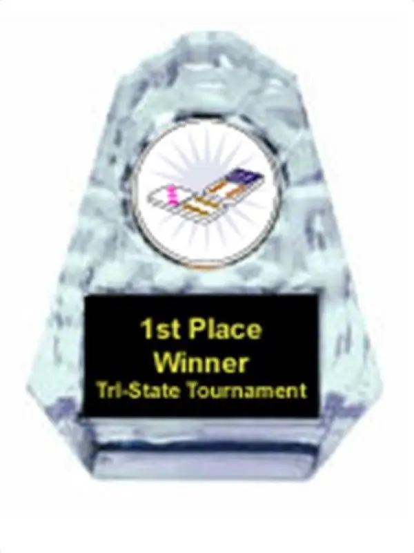 Domino Sculpted Ice Award