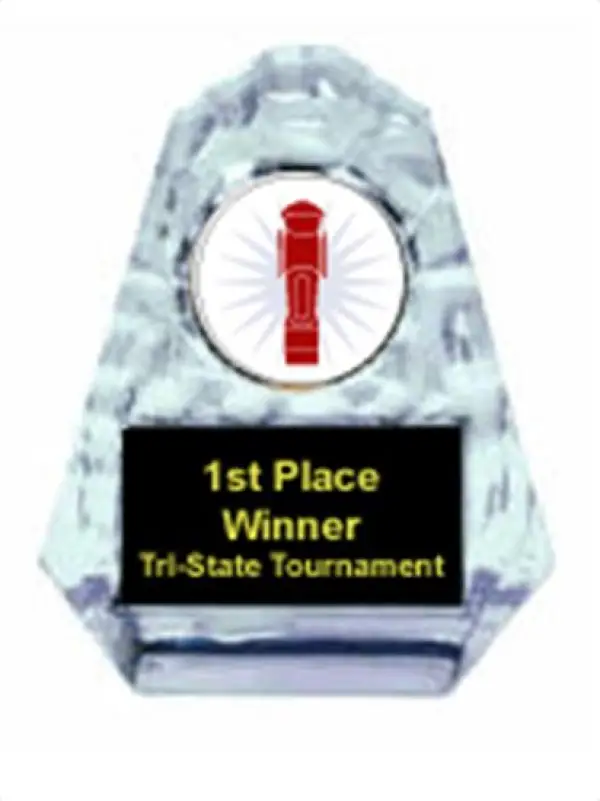 Foosball Sculpted Ice Award