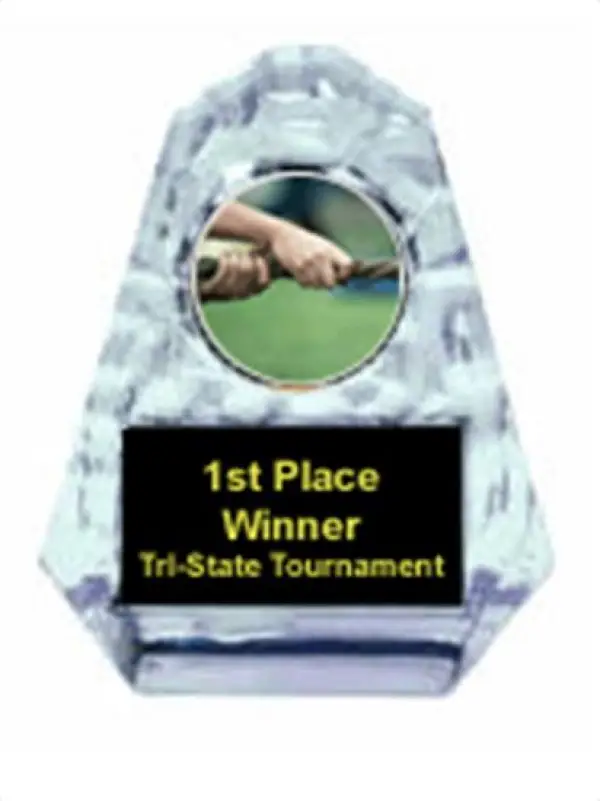 Tug of War Sculpted Ice Award