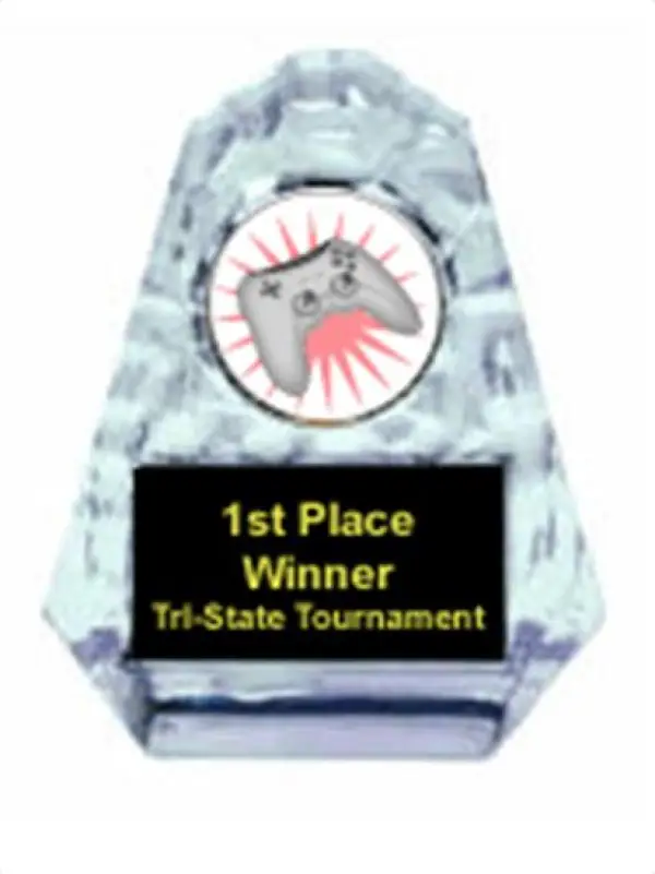 Video Sculpted Ice Award
