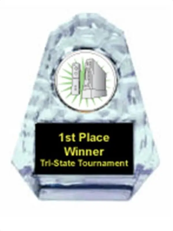 Wii Sculpted Ice Award