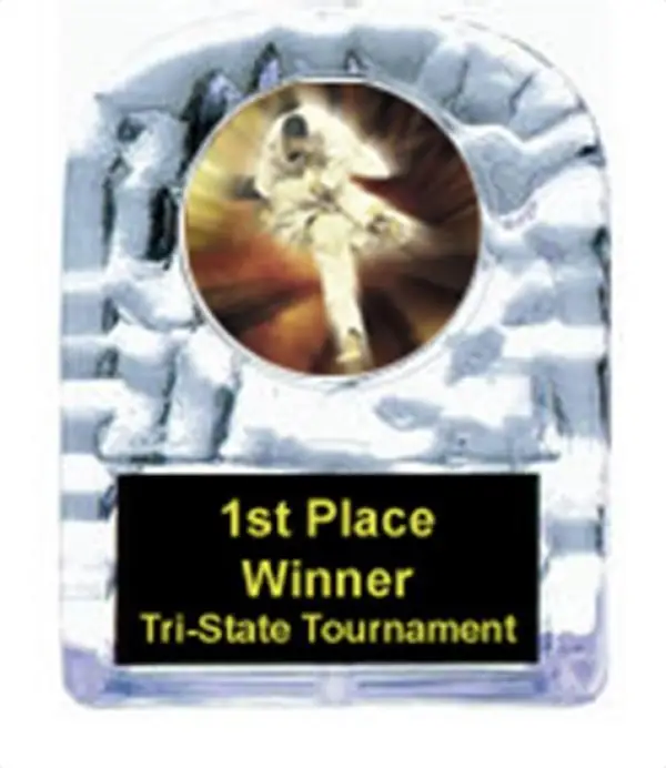 Karate Cracked Ice Trophy