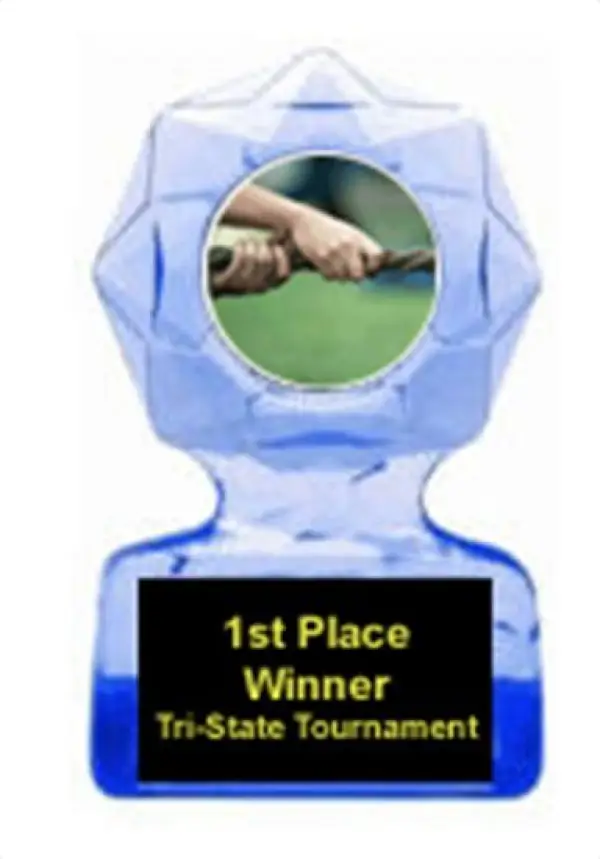 Tug of War Clear Star Award