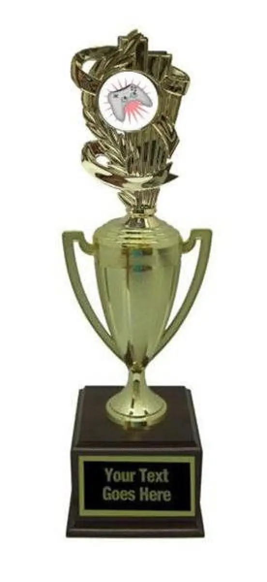 Play Station Gold Cup Trophy
