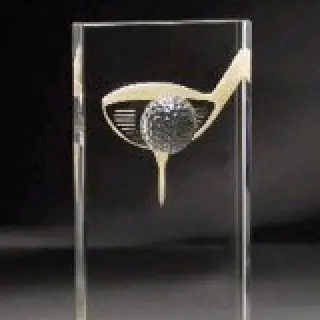 Three Dimensional Golf Award