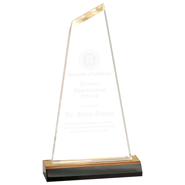 Reflection Acrylic Award