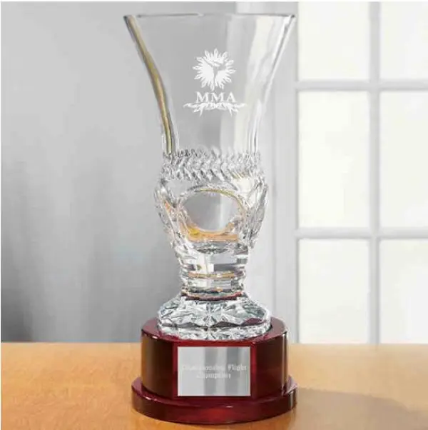 Mixed Martial Arts Palais Trophy