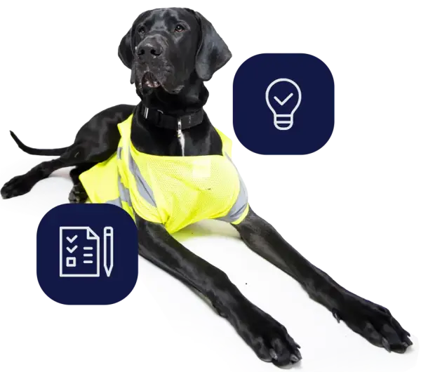 A black dog in a construction outfit.