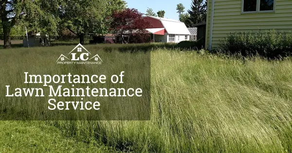 The Importance of Lawn Maintenance Service