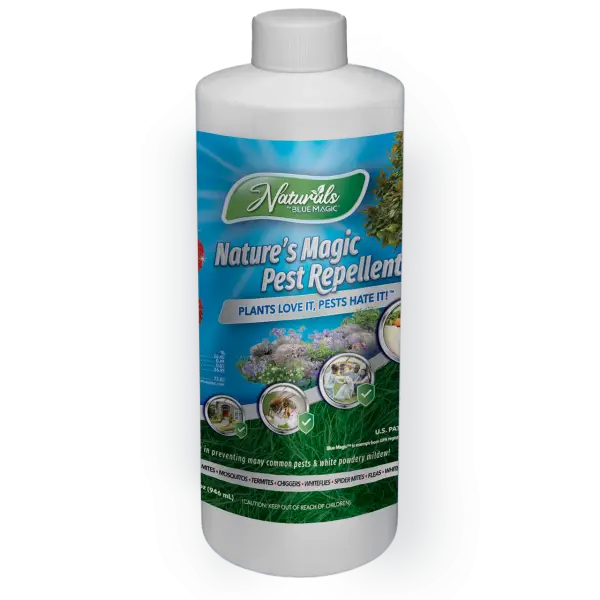 Naturals by Blue Magic™ | PreMix Refill, 32oz