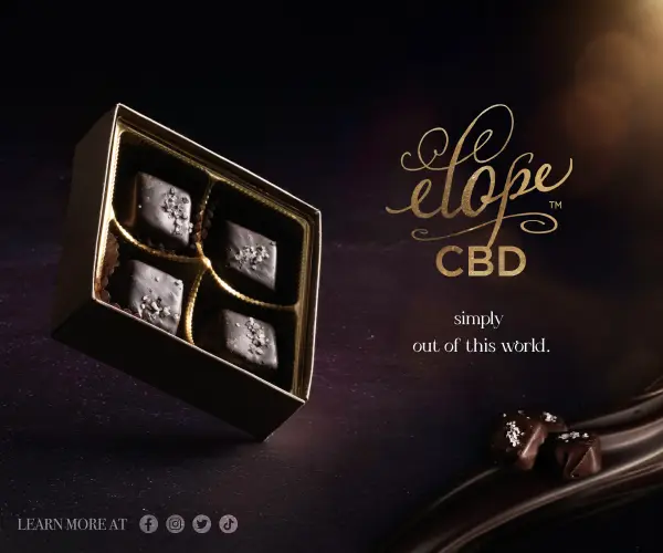 Luxury chocolate product photography by Evolution Marketing