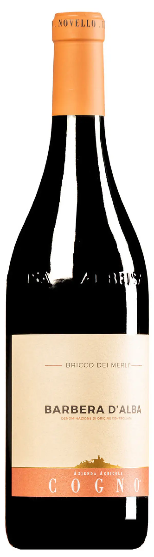 Elvio Cogno Barbera D'Alba Bricco Dei Merli 750ml
