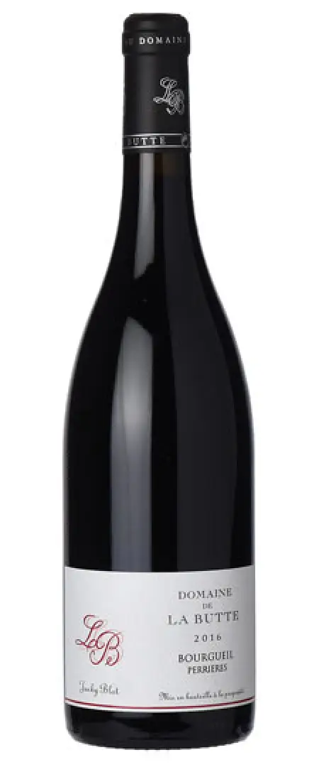 Domaine de la Butte Perrières Bourgueil 2019 750ml