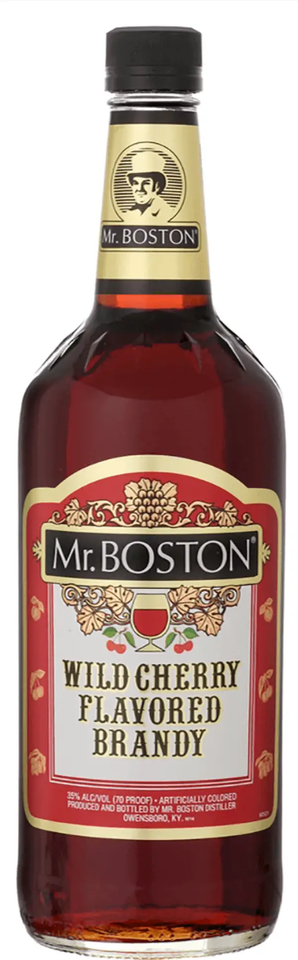 Mr. Boston Cherry Brandy 1L