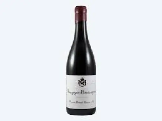 Domaine Bernard Moreau Bourgogne Passetoutgrains 2020 750ml