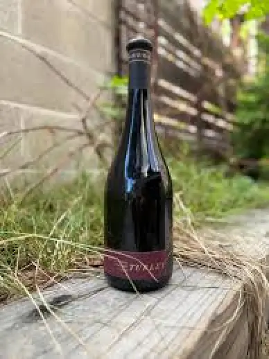 Turley Juvenile Zinfandel 2023 750ml