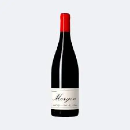 Marcel Lapierre Morgon 2021 750ml