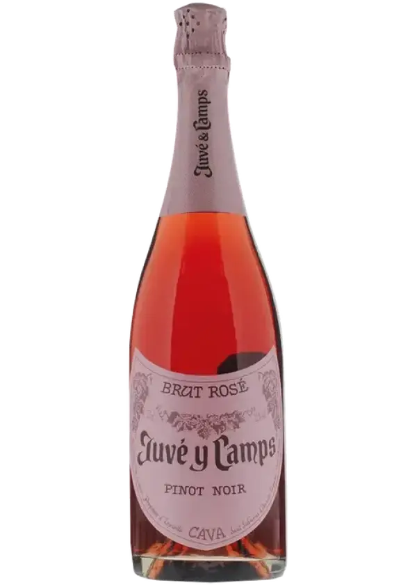 Juvé & Camps Pinot Noir Brut Rosé Cava 750ml