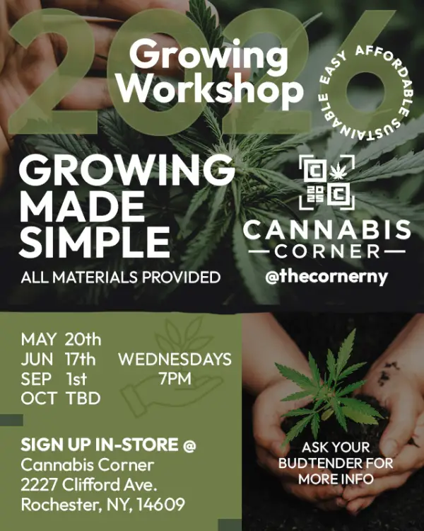 Growing Workshop - Session 1