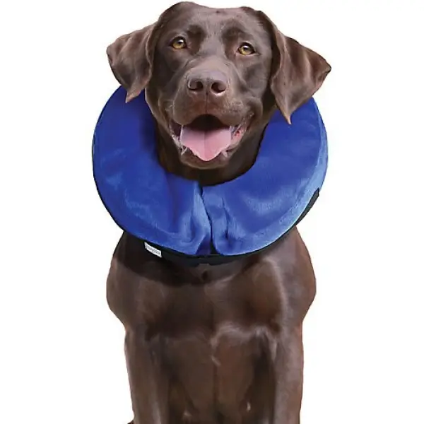 KONG Cloud Collar Sm