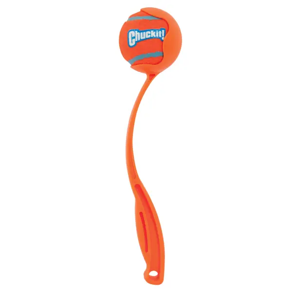 Chuck ItSport 12 M