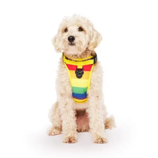 Everything Harness Rainbow Md