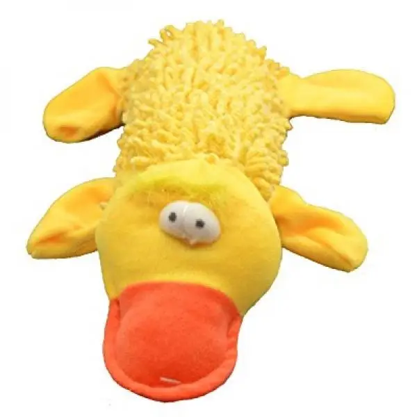 Bottle Toy Duck