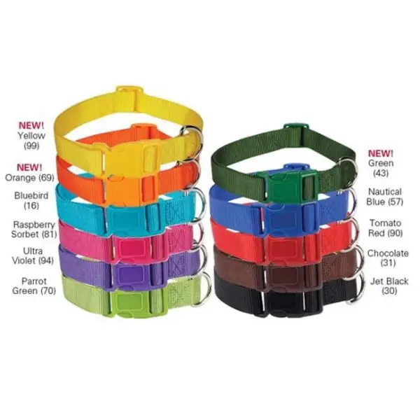 Zack and Zoey Collar 14-20 Tel