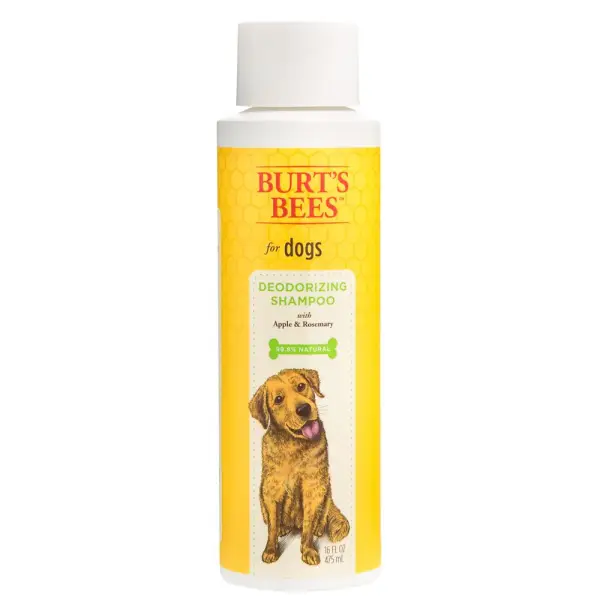 BurtsBees Deodor Shamp 16oz