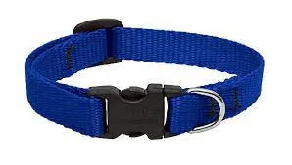 Lupine 6-9 1/2 Adj Blue