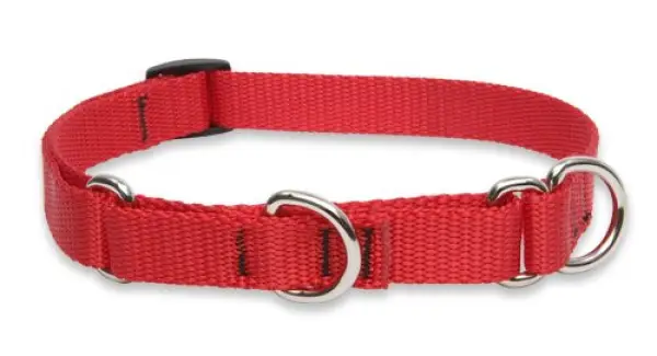 Lupine3/415-25Adj.RedCollar