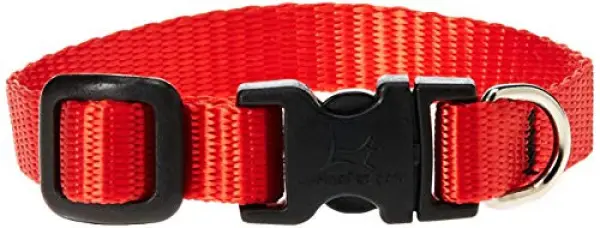 Lupine 6-9 1/2 Adj Red