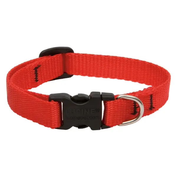 Lupine 1 12-20 Red Collar
