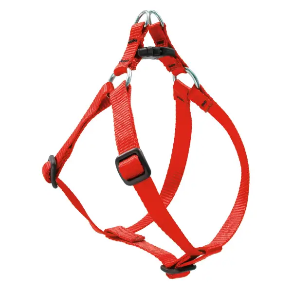 Lupine 12-18 Step-in Red