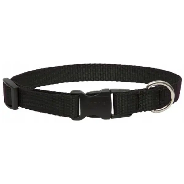 Lupine3/49-13Adj.BlackCollar