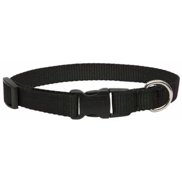 Lupine3/413-22Adj.BlacCollar