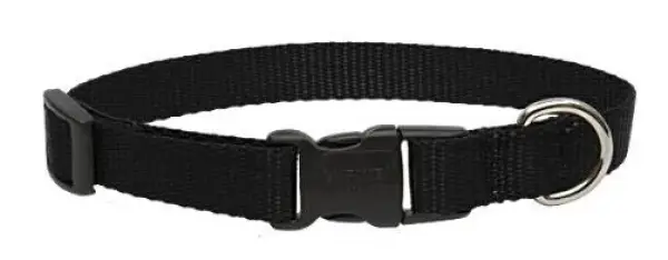 Lupine3/415-25Adj.BlacCollar