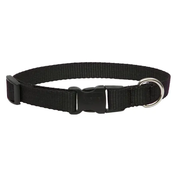 Lupine 8-12 1/2 Adj Black