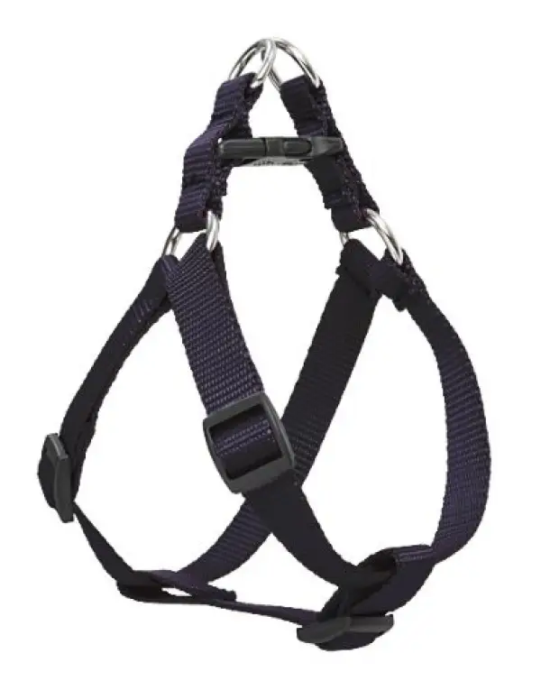 Lupine 24-38 StepIn Black